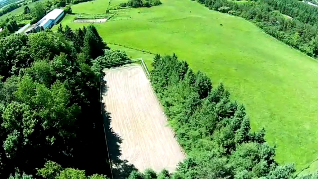 DreamRidge Equestrian | 95 Townline Road East, Port Perry, ON L9L 1B3, Canada | Phone: (416) 716-9464