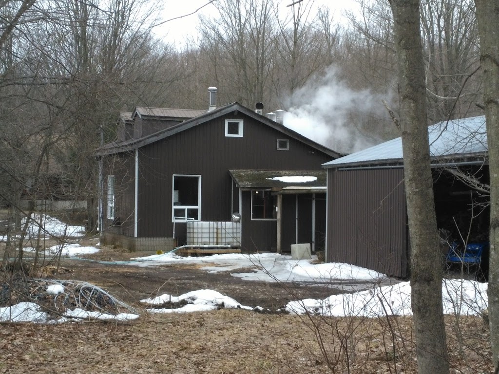 Thomas Sugarbush | 553832 Glenelg Rd 23, Priceville, ON N0C 1K0, Canada | Phone: (226) 600-6085