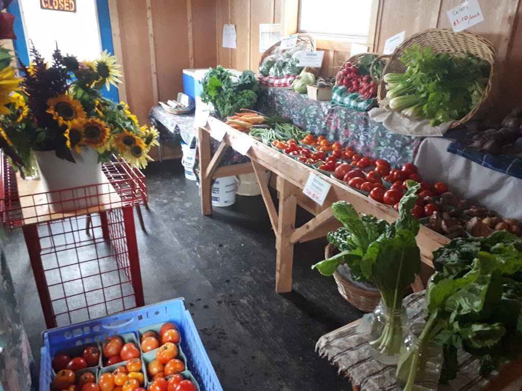 Bountywoods Farm | 4876 Brooklyn St, Somerset, NS B0P 1E0, Canada | Phone: (902) 538-4318