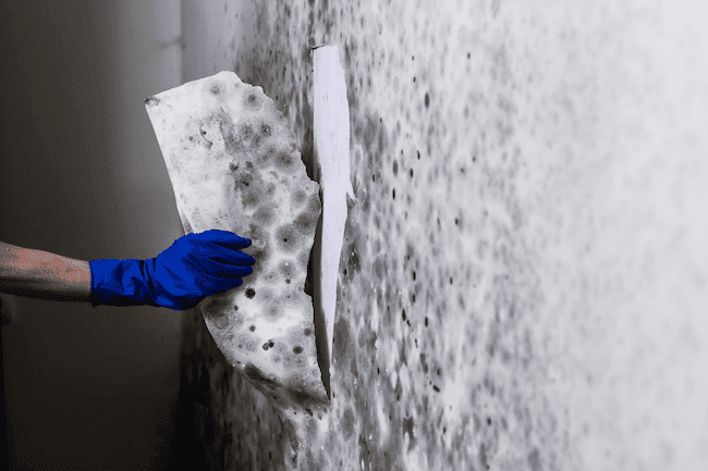 Ferro Environmental - Professional Abatement and Remediation | 955 Alliance Rd Unit 2, Pickering, ON L1W 3M8, Canada | Phone: (905) 841-8108