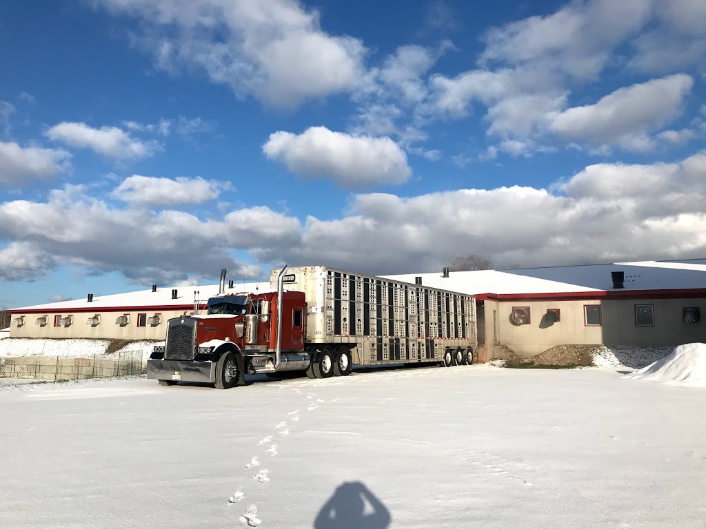 Streicher Transport | 7422 Road 129, Listowel, ON N4W 3G9, Canada | Phone: (519) 595-4898