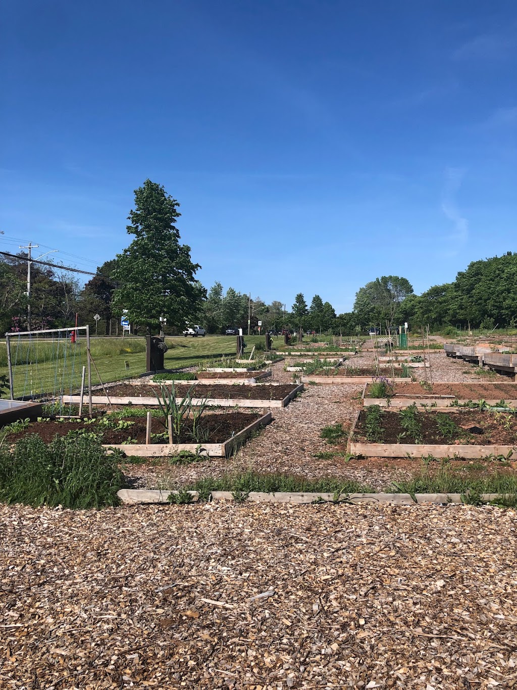 Stratford Community Gardens | 234 Shakespeare Dr, Stratford, PE C1B 1T8, Canada | Phone: (902) 367-3605