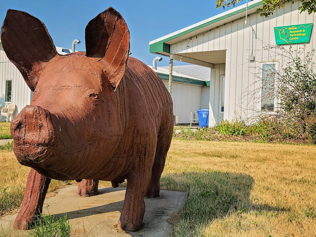 Swine Research & Technology Centre | 5923 118 St NW, Edmonton, AB T6H 2V8, Canada | Phone: (780) 492-7688