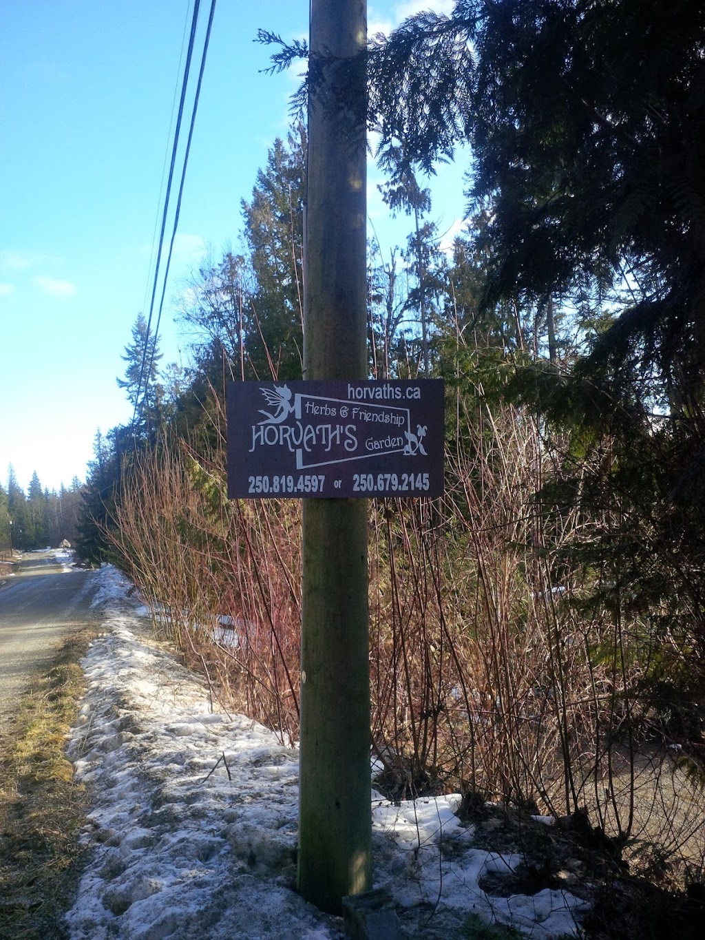 Horvaths Herbs and Friendship Garden | 2538 Vickers Trail, Anglemont, BC V0E 1M8, Canada | Phone: (250) 679-2145
