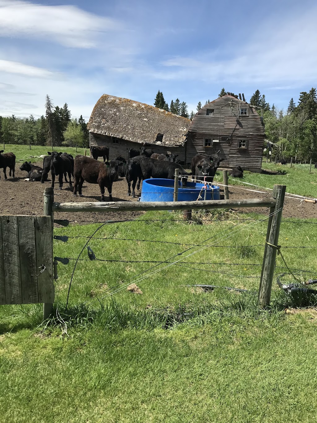 Our Guest House | RR2, Westerose, AB T0C 2V0, Canada | Phone: (780) 361-8744
