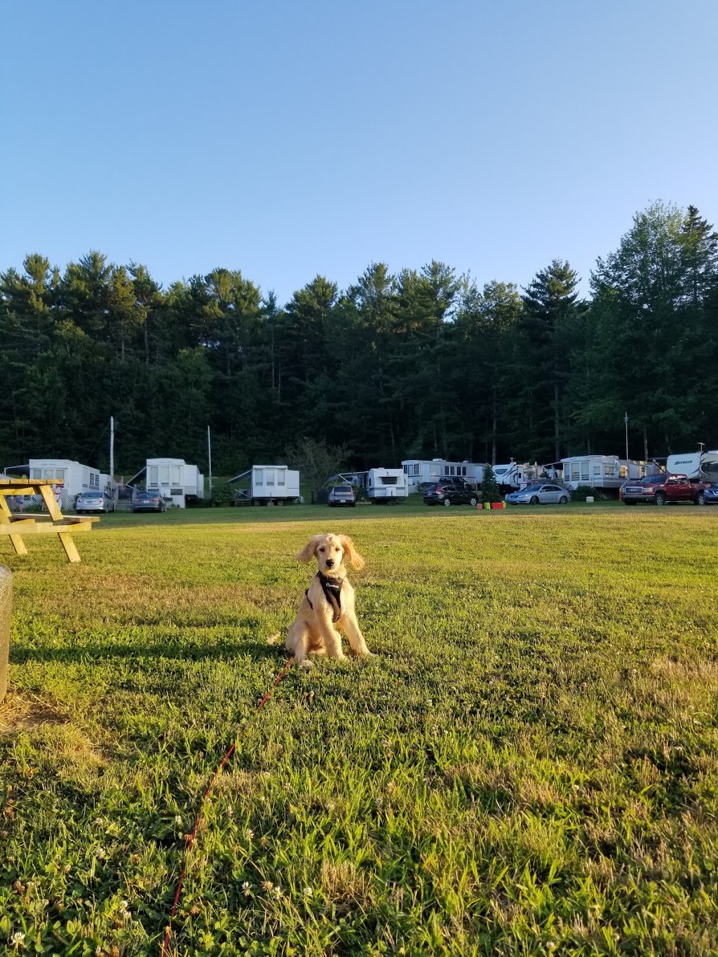Sherwood Forest Camping Park | 6890 Nova Scotia Trunk 1, Coldbrook, NS B4R 1C5, Canada | Phone: (902) 679-6632