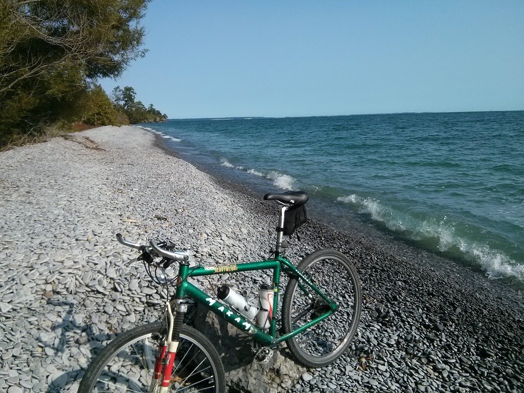 Prince Edward Point National Wildlife Area | Long Point Rd, Milford, ON K0K 2P0, Canada | Phone: (800) 668-6767