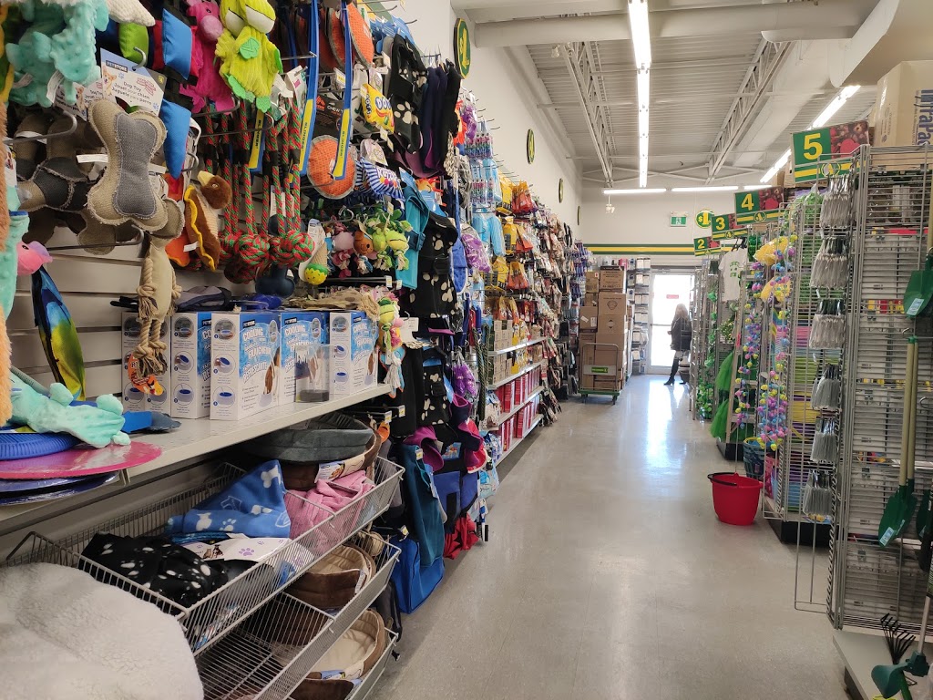 Dollarama | 5415 Tecumseh Rd E, Windsor, ON N8T 1C5, Canada | Phone: (519) 974-2096