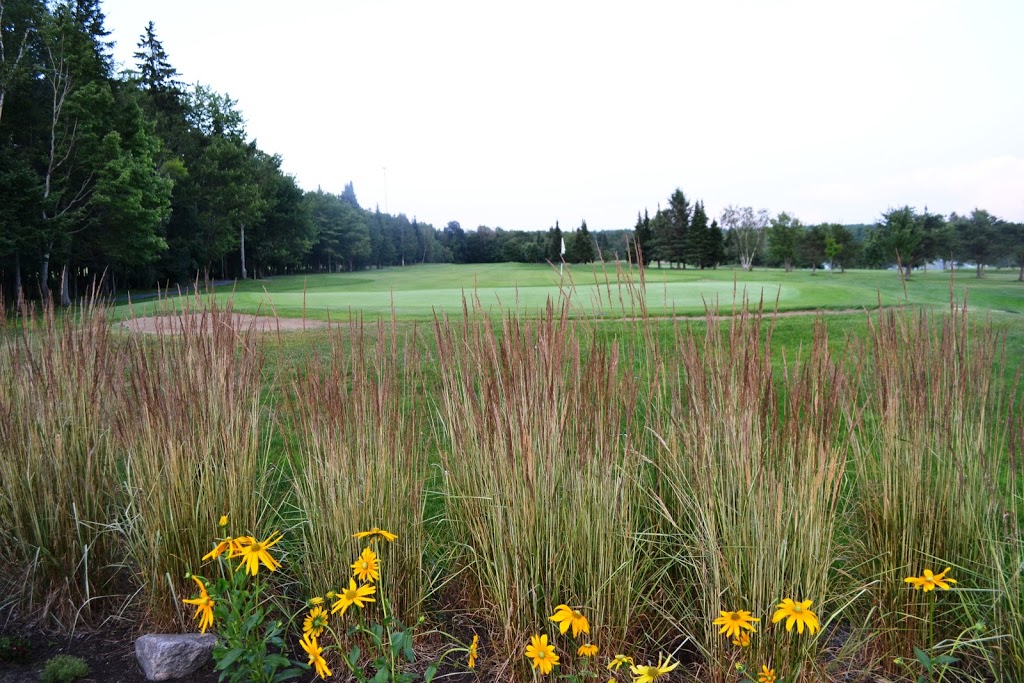 Club Golf Le Grand Portneuf | 2 Route 365, Pont-Rouge, QC G3H 3R4, Canada | Phone: (418) 873-2000