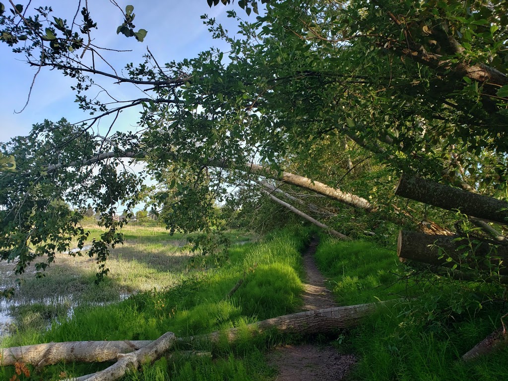Mcneeleys Trail | 5011 River Rd, Delta, BC V4K 4V9, Canada