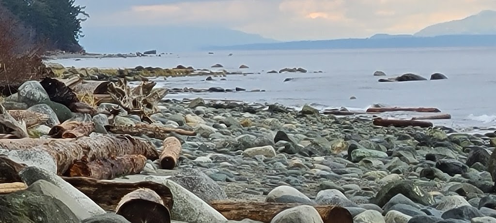 Copes Islander Oceanfront B&B | 1484 Wilkinson Rd, Comox, BC V9M 4B3, Canada | Phone: (250) 339-1038