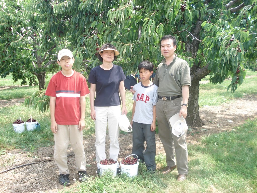 Weilands Cherry Farm | 1625 Haist St, Fonthill, ON L0S 1E0, Canada | Phone: (905) 892-3744