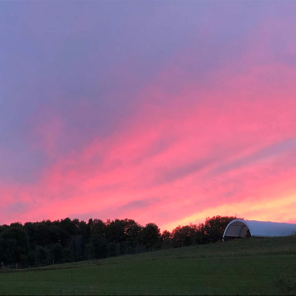 Yoga Barn Spa & Studio | 1583 Old Second Rd N, Hillsdale, ON L0L 1V0, Canada | Phone: (905) 449-8612