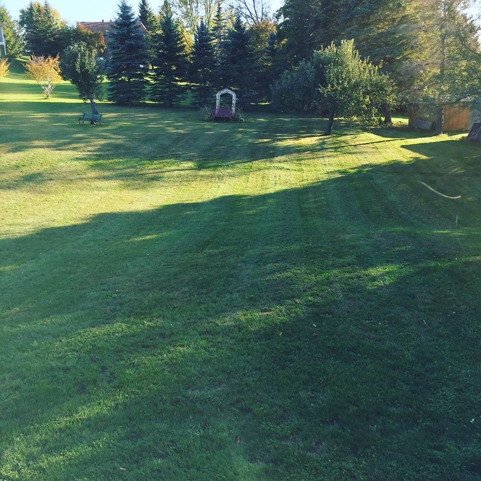 Wolf Lawn Care | 1673 Gazelle Trail, Lakefield, ON K0L 2H0, Canada | Phone: (705) 931-0214