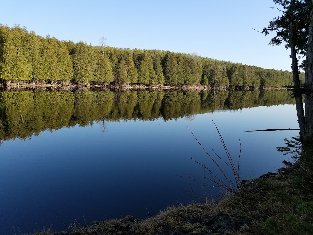 Amazing Rocky Park Campground | 423059 Rocky Saugeen Rd, Durham, ON N0G 1R0, Canada | Phone: (519) 369-6450