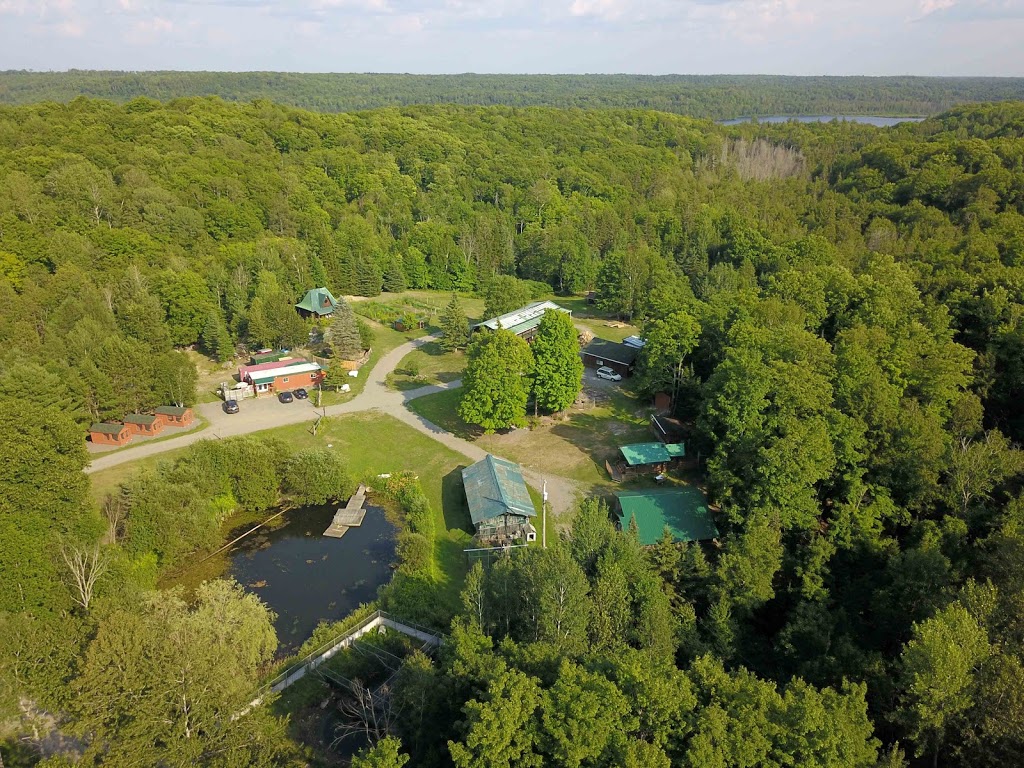 Woodlands Wildlife Sanctuary | 2146 Duck Lake Rd, Minden, ON K0M 2K0, Canada | Phone: (705) 286-1133