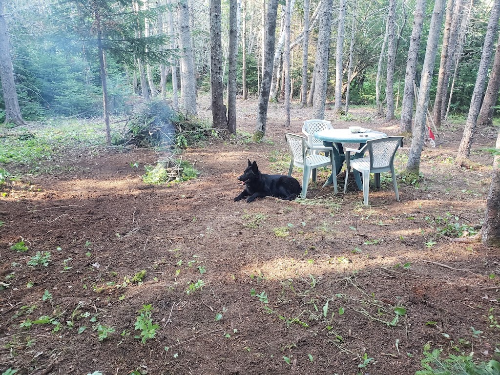Manuels Camping | 3764 NB-115, Notre-Dame, NB E4V 2J2, Canada | Phone: (506) 801-3362