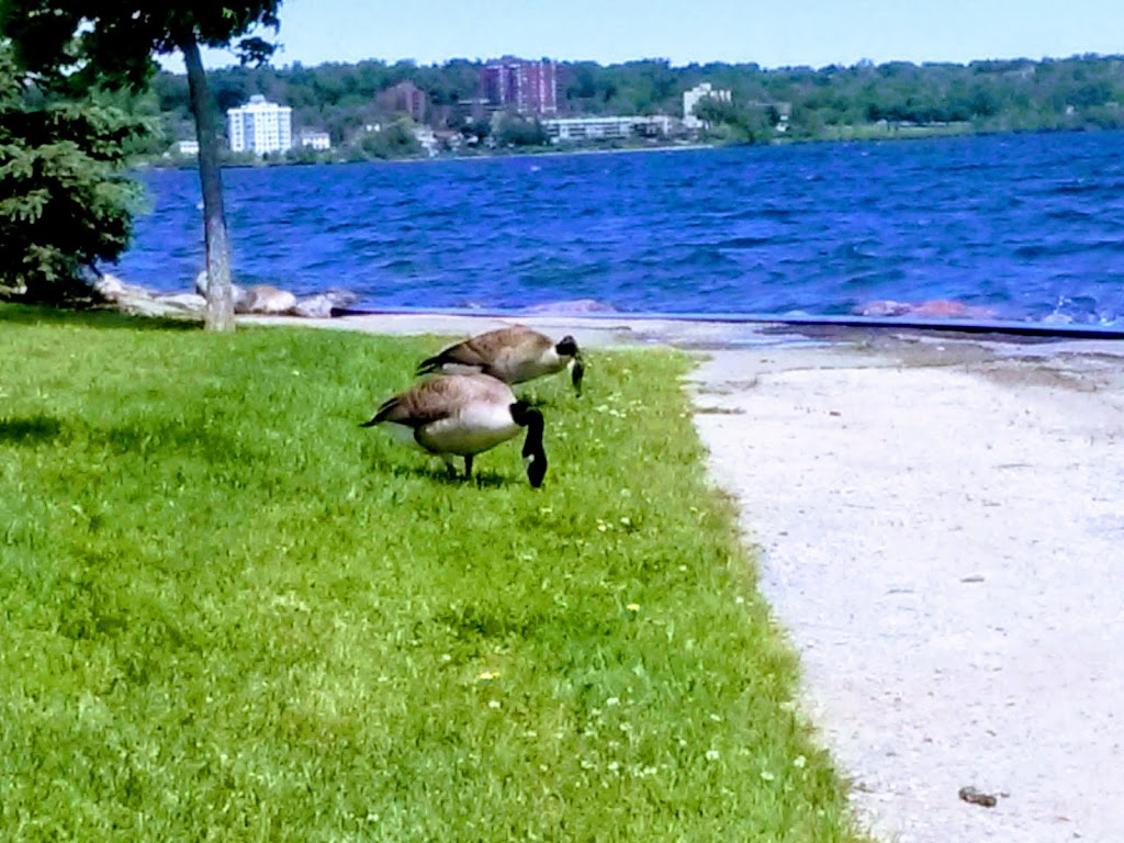 Centennial Park | Lakeshore Dr, Barrie, ON L4N 2M6, Canada | Phone: (705) 739-4255