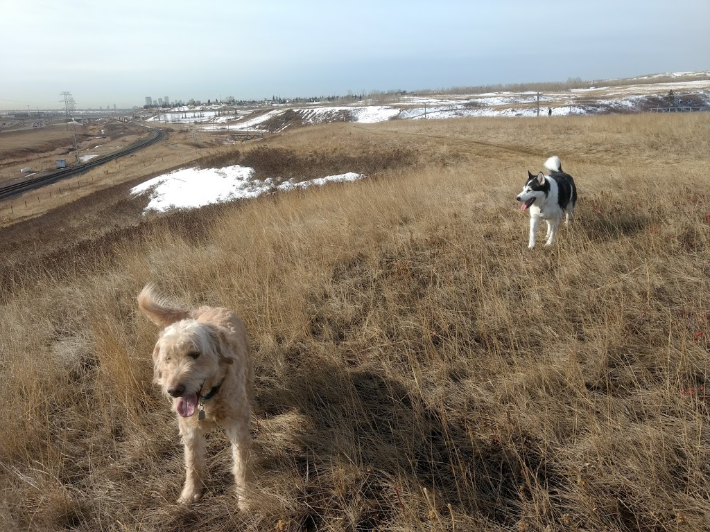 West Nose Creek Park | 300 Beddington Blvd NE, Calgary, AB T3K, Canada