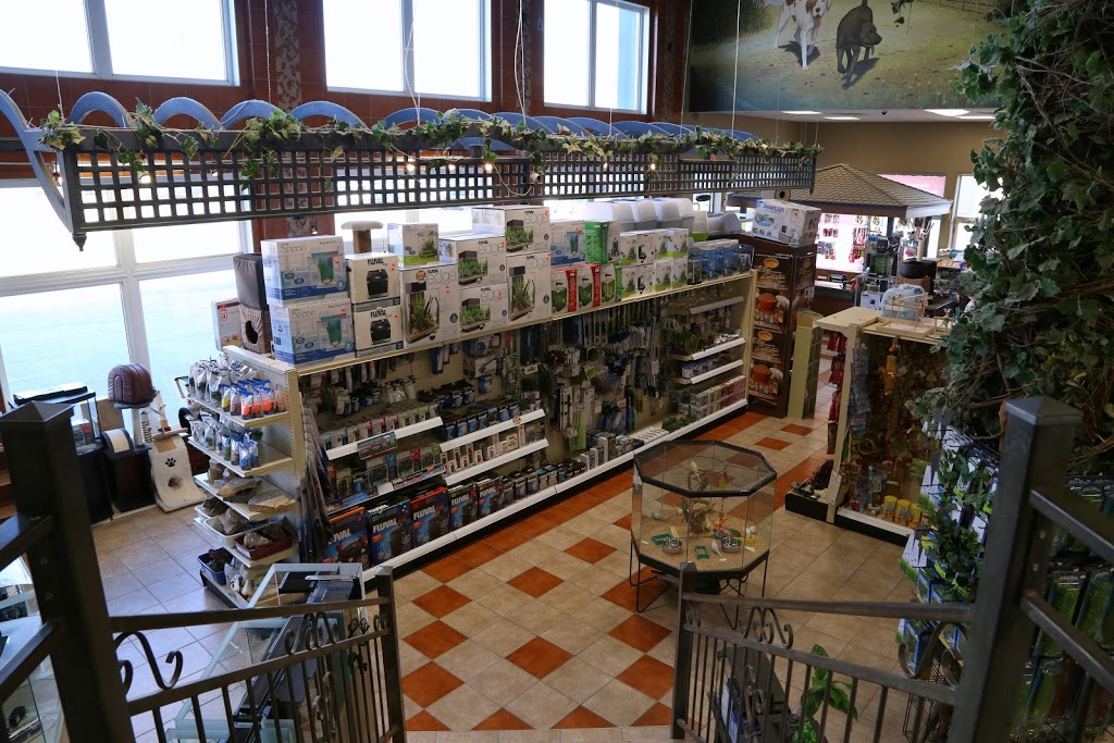 Animalerie Chico | 5965 Boulevard Jean-XXIII, Trois-Rivières, QC G8Z 4N8, Canada | Phone: (819) 374-6464