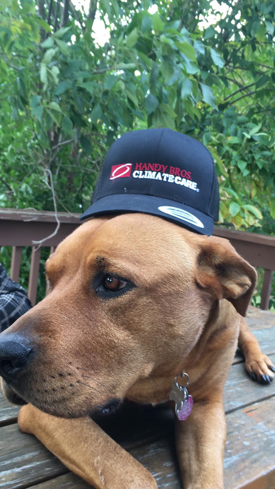 Handy Bros ClimateCare | 20226 Communication Rd, Blenheim, ON N0P 1A0, Canada | Phone: (226) 210-4320