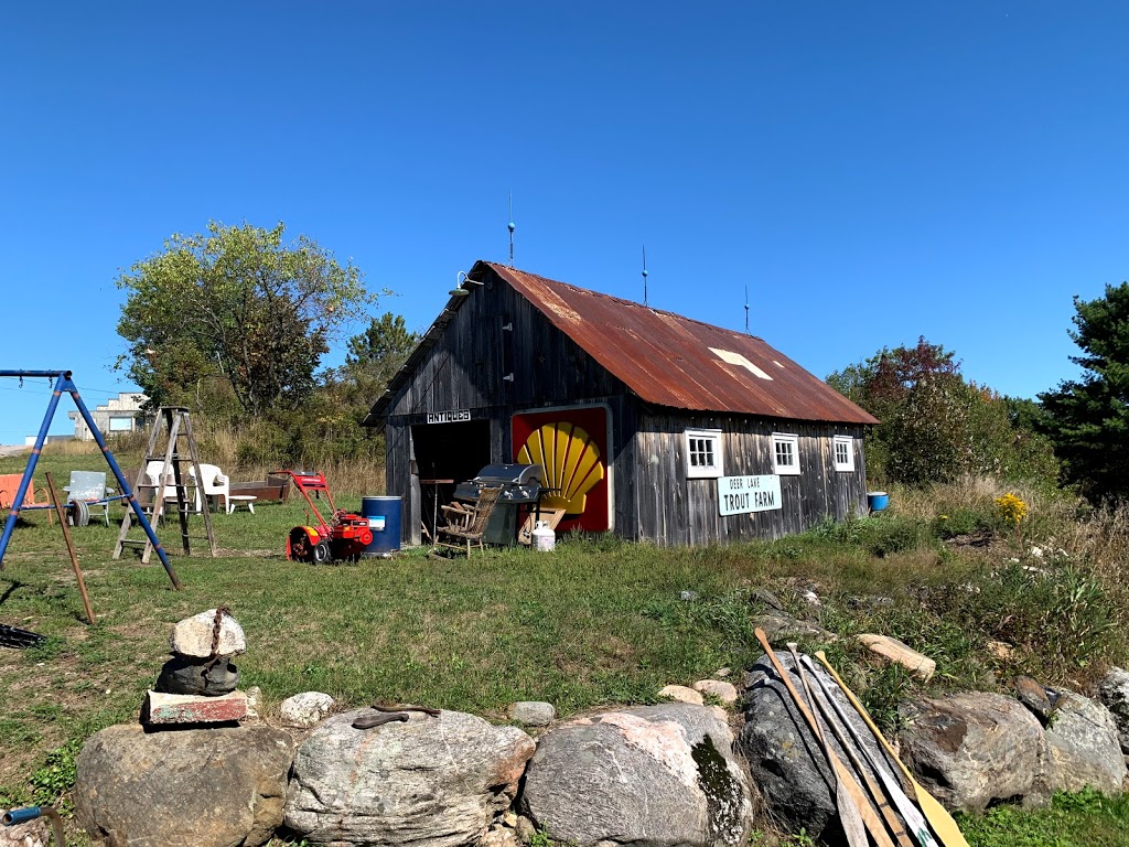Harris Furniture & Antiques | 17 Parry Sound Dr #17, Parry Sound, ON P2A 0C3, Canada | Phone: (705) 746-5100