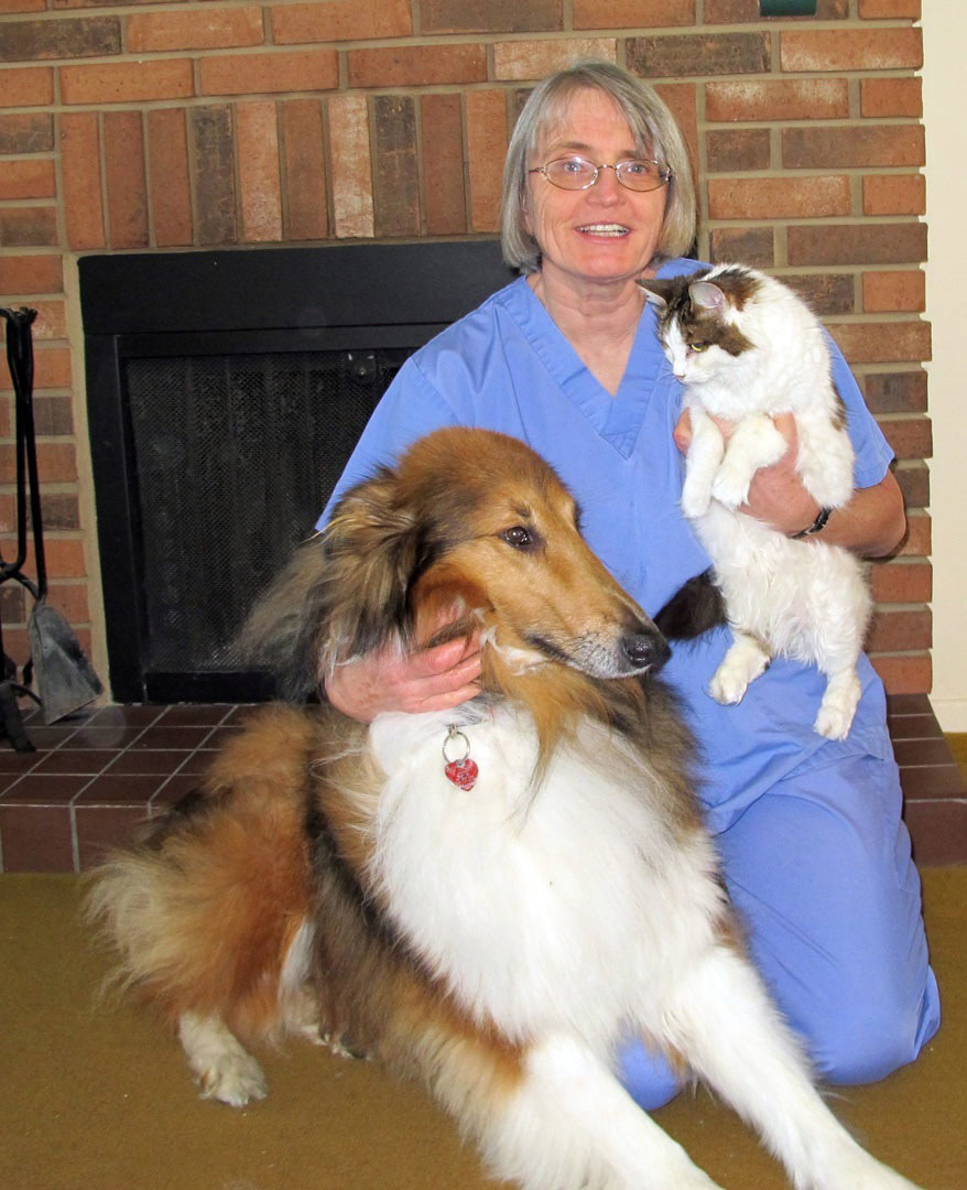 St-Laurent Animal Hospital | 654 Montreal Rd, Ottawa, ON K1K 0T3, Canada | Phone: (613) 749-2143