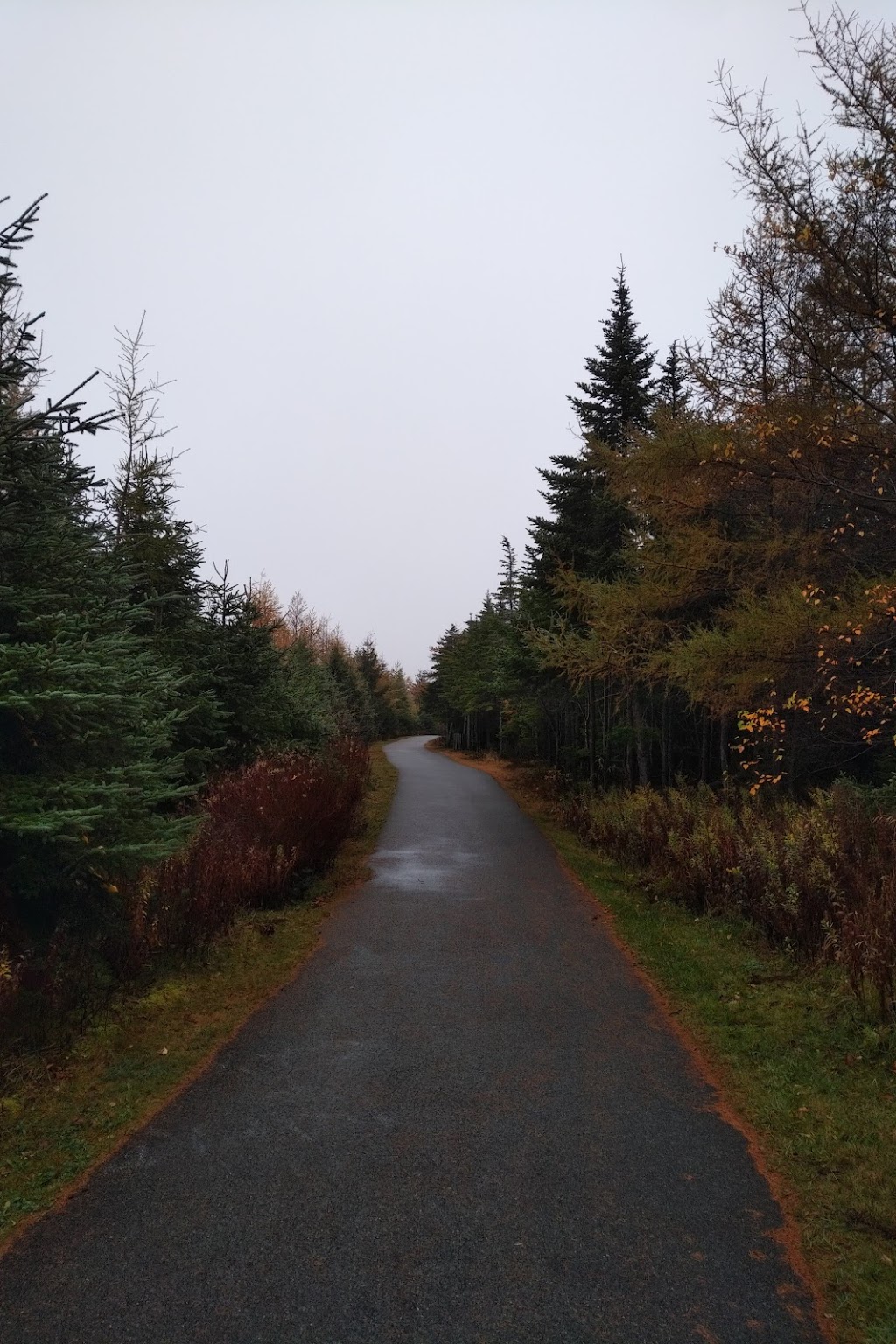 Mount Pearl Dog Park | 43 Clyde Ave, Mount Pearl, NL A1N 4S2, Canada | Phone: (709) 748-1047