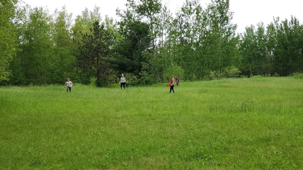 Sandy Hollow Disc Golf Course | 434 Ferndale Dr N, Barrie, ON L4N 7X6, Canada | Phone: (705) 795-2597