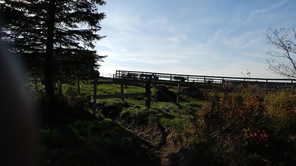 Sambea Farm | 79 Conrad Rd, Lawrencetown, NS B2Z 1S1, Canada | Phone: (902) 488-9607