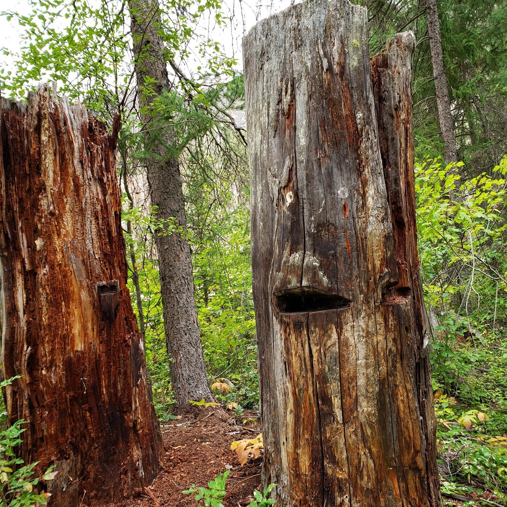 Kettle River Recreation Area | 2250 Kelowna-Rock Creek Hwy, Rock Creek, BC V0H 1Y0, Canada | Phone: (250) 584-9025