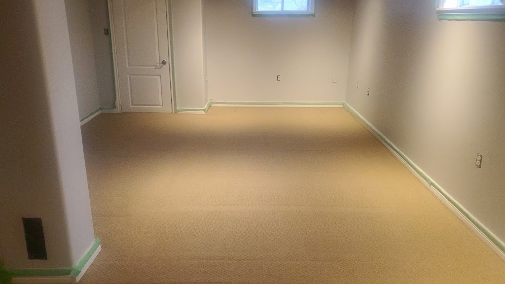 Spider | 301 Emerald St, Kingston, ON K7P 3E1, Canada | Phone: (613) 770-1725