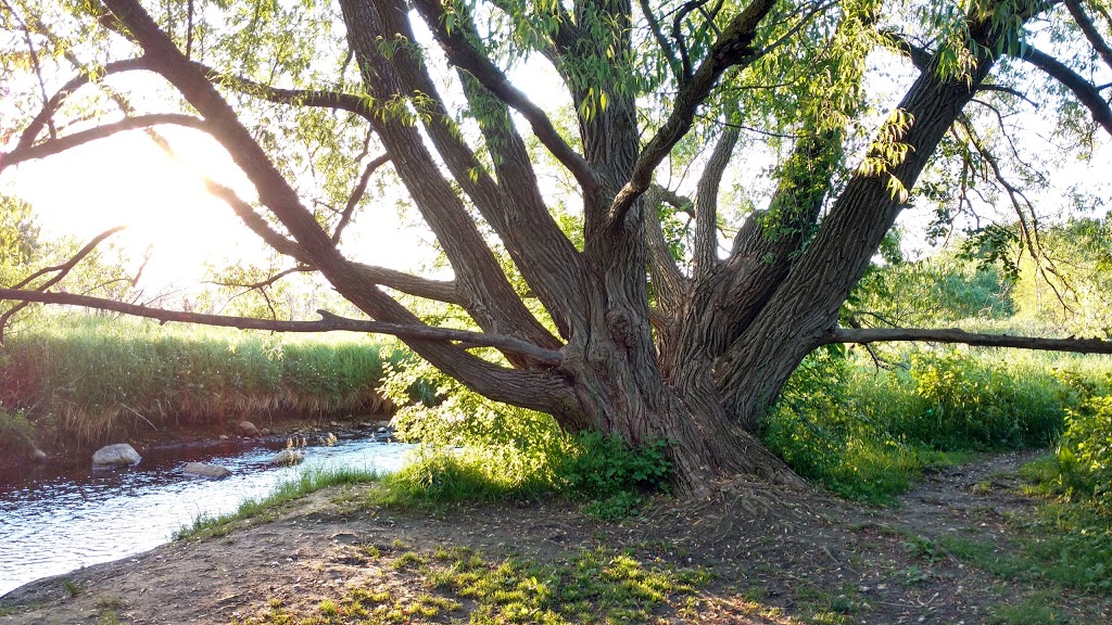 University of Waterloo Environmental Reserve | Trans Canada Trail, Waterloo, ON N2L 0A1, Canada | Phone: (519) 888-4567
