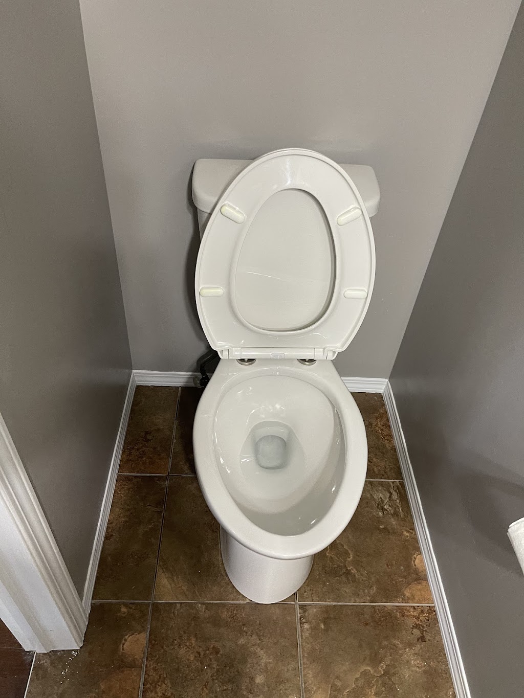 Long For Cleaning LTD | 11681 72 Ave NW, Edmonton, AB T6G 0B9, Canada | Phone: (780) 902-9237