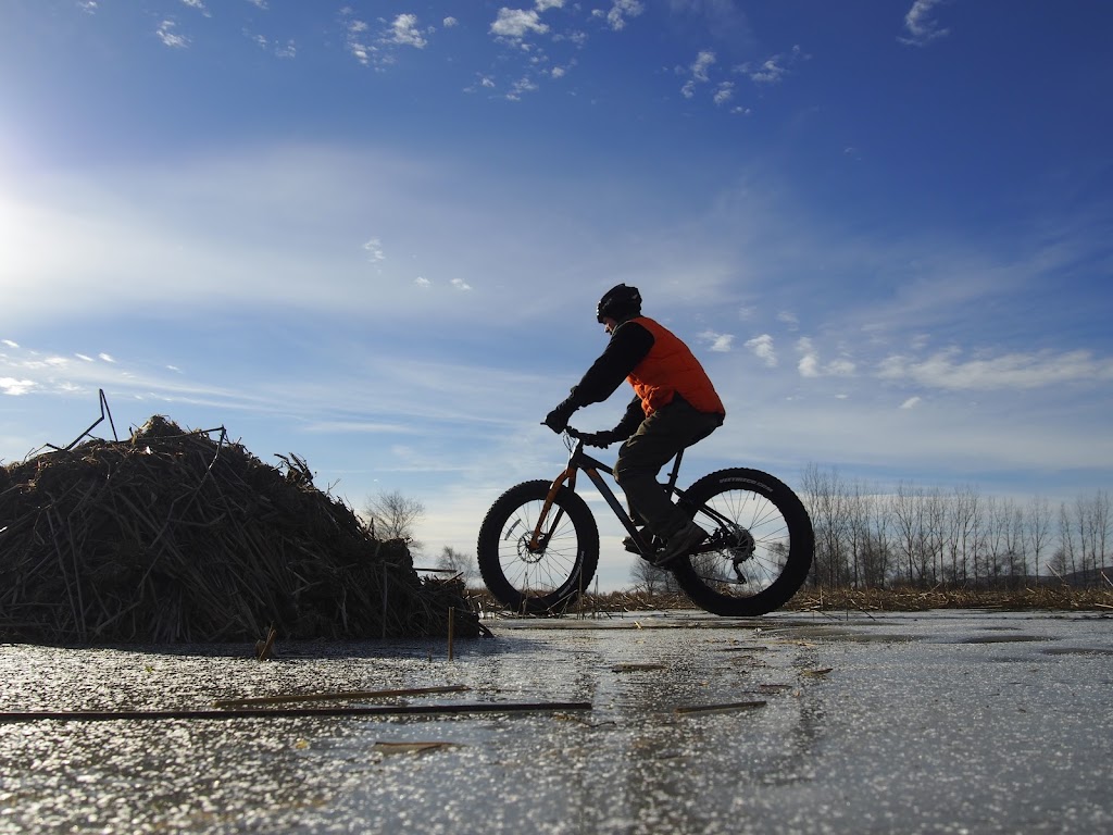 Oakhaven Bike Barn | 7019 Nova Scotia Trunk 1, Belleisle, NS B0S 1A0, Canada | Phone: (902) 665-5044