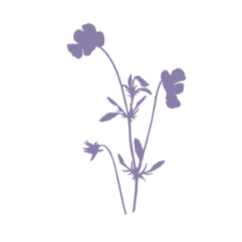 Wildflower Health & Wellness | 212B - 12295 Hwy#50, Bolton, ON L7E 1M2, Canada | Phone: (905) 951-7134
