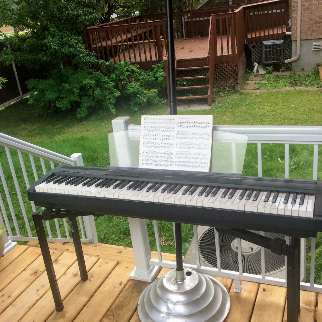 Lamoureux Musik | 6140 Arbourwood Dr, Orléans, ON K1C 7K8, Canada | Phone: (613) 800-4033