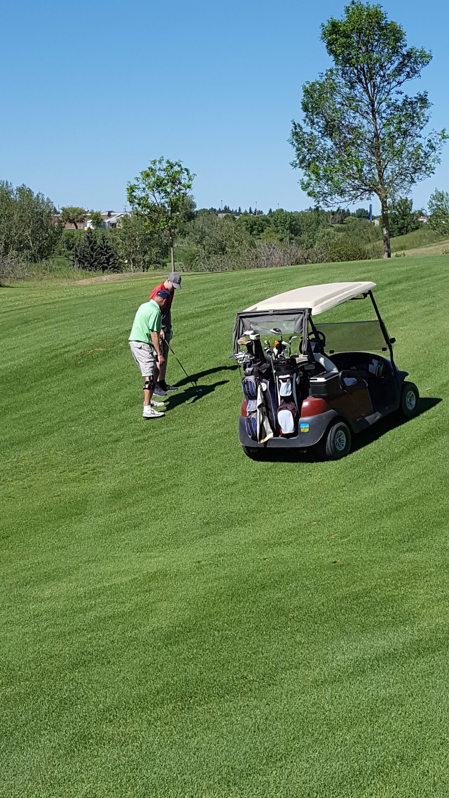 Hillcrest Sports Centre | 1599 Main St N, Moose Jaw, SK S6J 1L5, Canada | Phone: (306) 693-1921