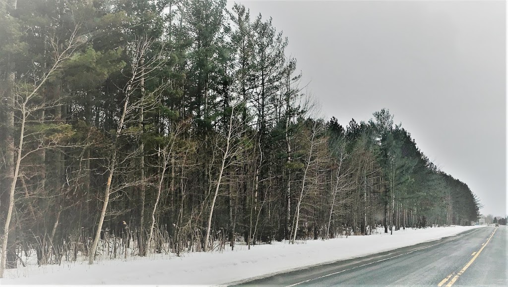 Robert Graham Conservation Area | 10361 County Rd 18, Brinston, ON K0E 1C0, Canada | Phone: (877) 984-2948