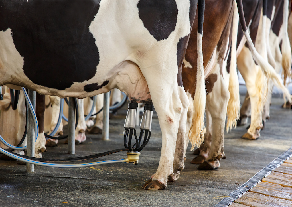 Agrotec Bois-Francs Inc | 304 Rte de la Grande-Ligne, Victoriaville, QC G6T 0E9, Canada | Phone: (819) 752-6101