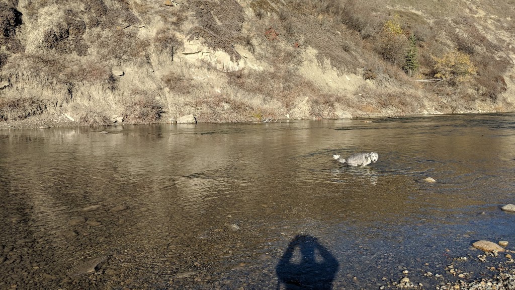 Riverdale Dog Park | 1334 Riverdale Ave SW, Calgary, AB T2S 0Y8, Canada