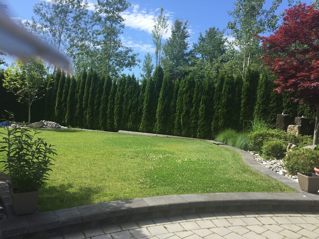 My Fraser green landscaping ltd | 3983 Paradise Pl, Abbotsford, BC V2S 8E3, Canada | Phone: (604) 825-3175