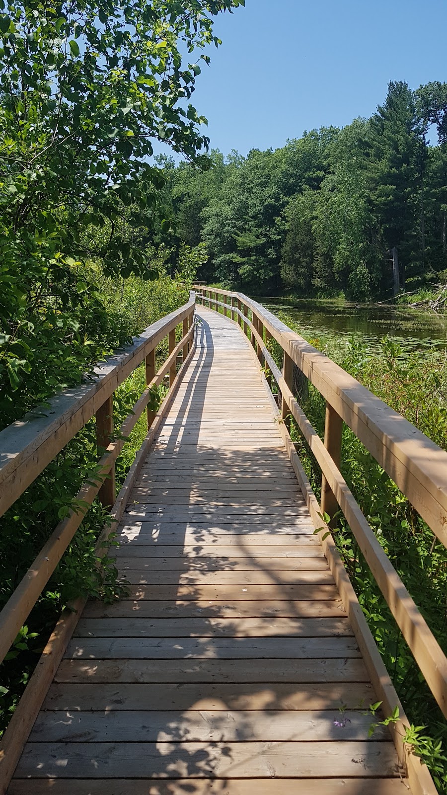 Pinery Provincial Park | 9526 Lakeshore Rd, Grand Bend, ON N0M 1T0, Canada | Phone: (519) 243-2220