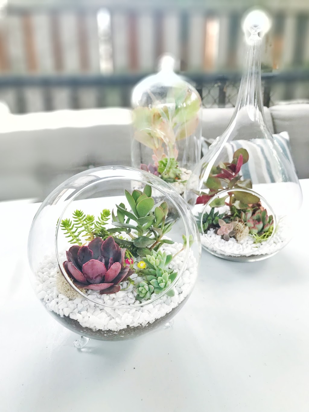 nVi Garden | 129 Byng Ave, North York, ON M2N 4K6, Canada | Phone: (647) 588-0604