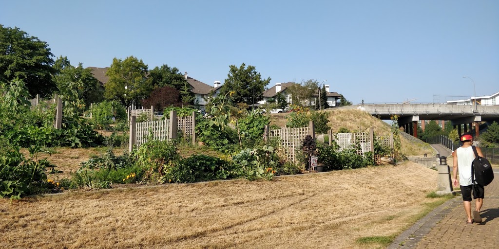 Port Royal Community Garden | 86 Star Crescent, New Westminster, BC V3M 6X5, Canada | Phone: (604) 521-3711