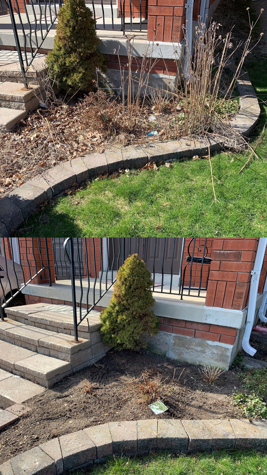 Noahs lawn care | Chardonnay Dr, Vaughan, ON L4J 8S4, Canada | Phone: (416) 357-0225