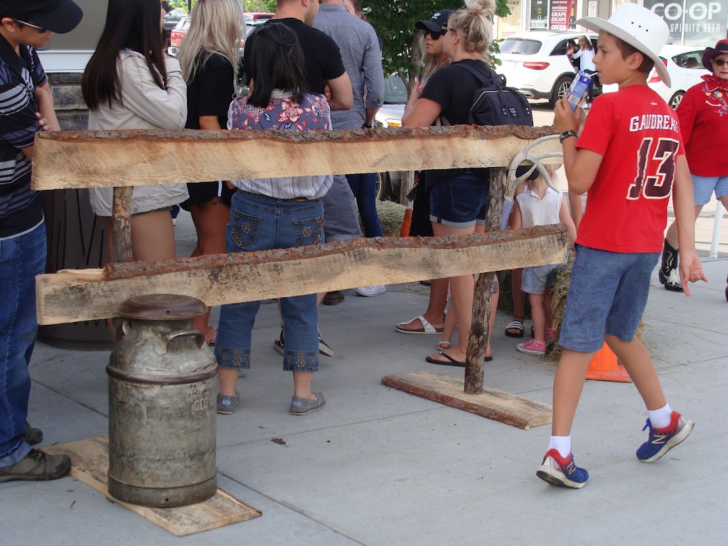 Simply Western & Christmas Decor Rentals | 226163 64 St W, De Winton, AB T1S 0R7, Canada | Phone: (403) 389-3590