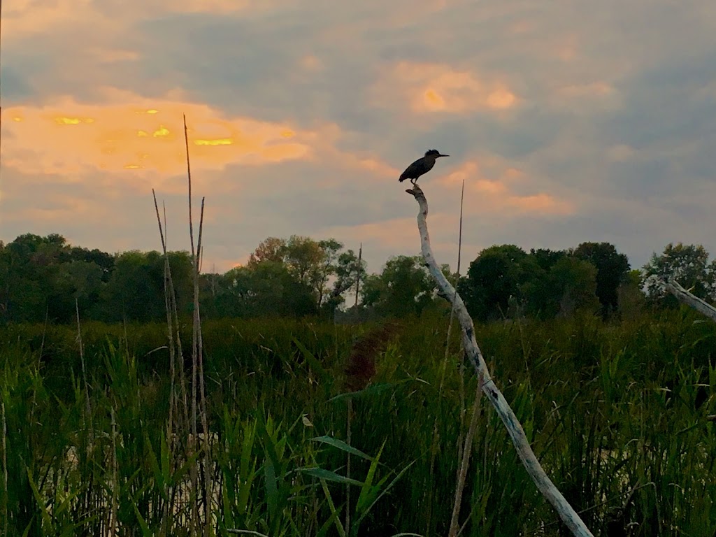 Lake St. Clair Nature Center | 31300 Metro Pkwy, Harrison Charter Township, MI 48045, USA | Phone: (586) 463-4581