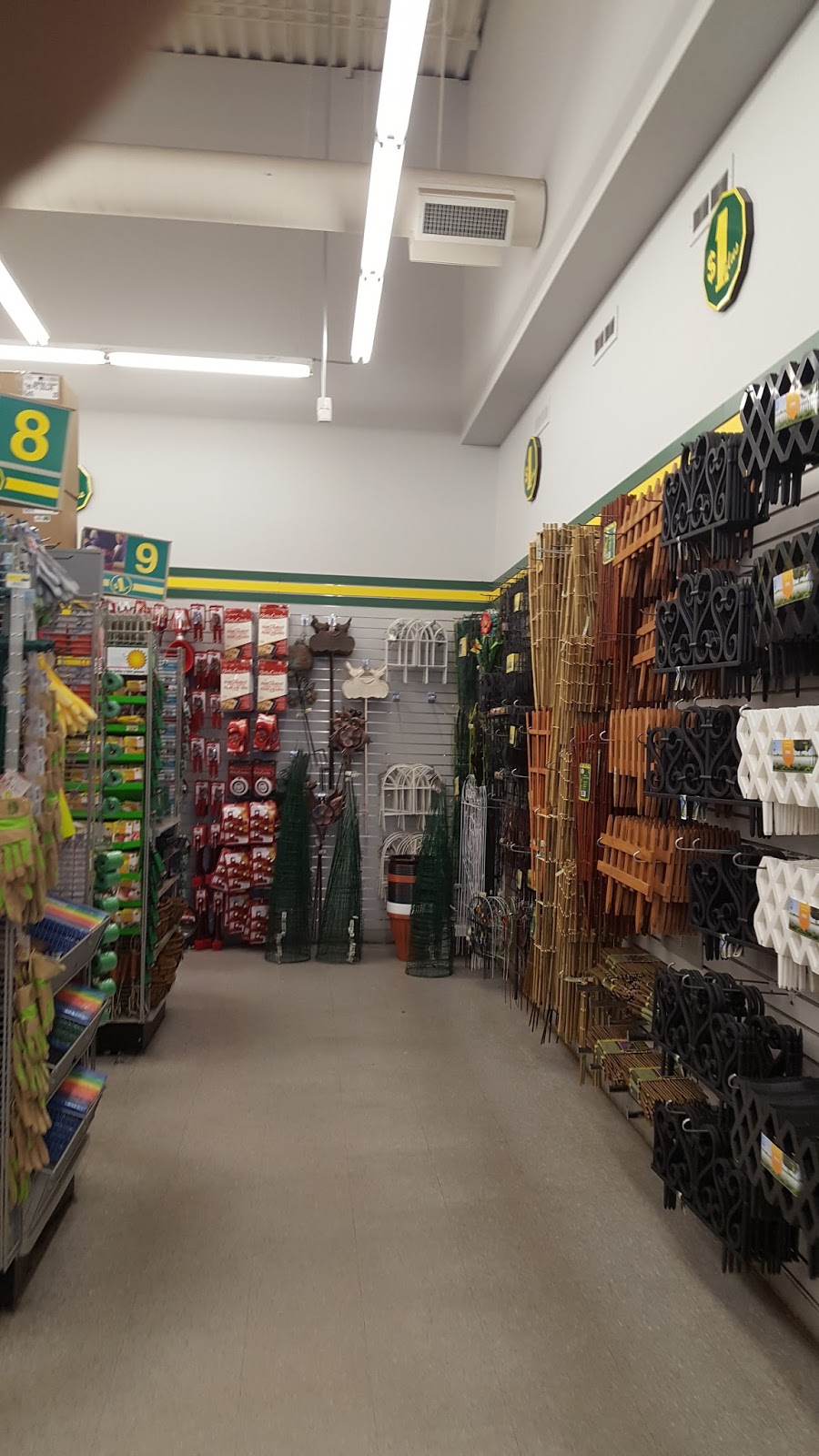 Dollarama | 1267 Barton St E, Hamilton, ON L8H 2V4, Canada | Phone: (905) 667-0720