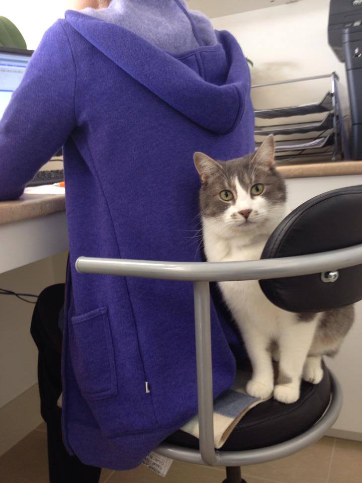Burkeview Animal Hospital Ltd | 1125 Nicola Ave, Port Coquitlam, BC V3B 8B2, Canada | Phone: (604) 475-5134